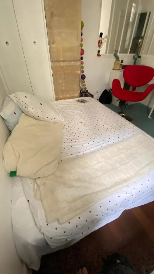 דירה פריז Villa Lepic, Luxury Flat In Montmartre With Private Terrasse-Appartement Entier צרפת